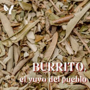 Burrito 50gr